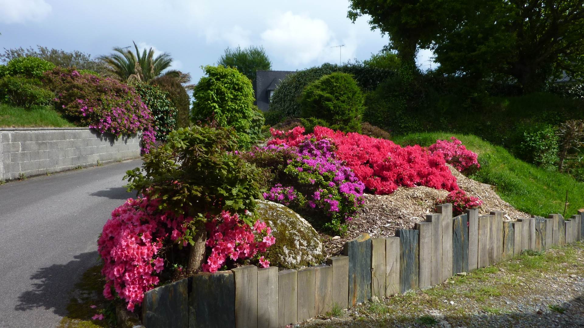 ... couleurs au printemps ...