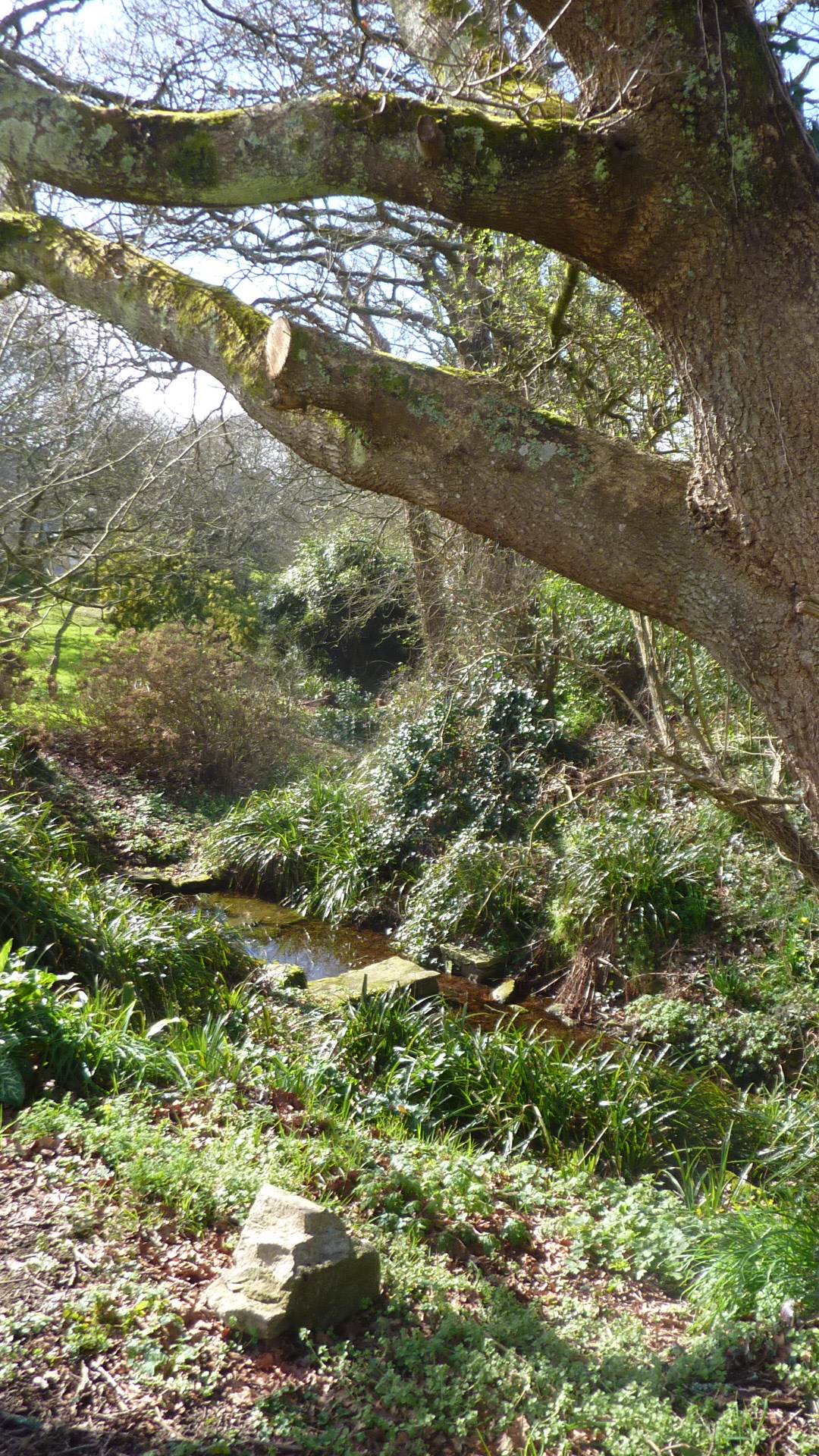 ... la vallée et son lavoir ...